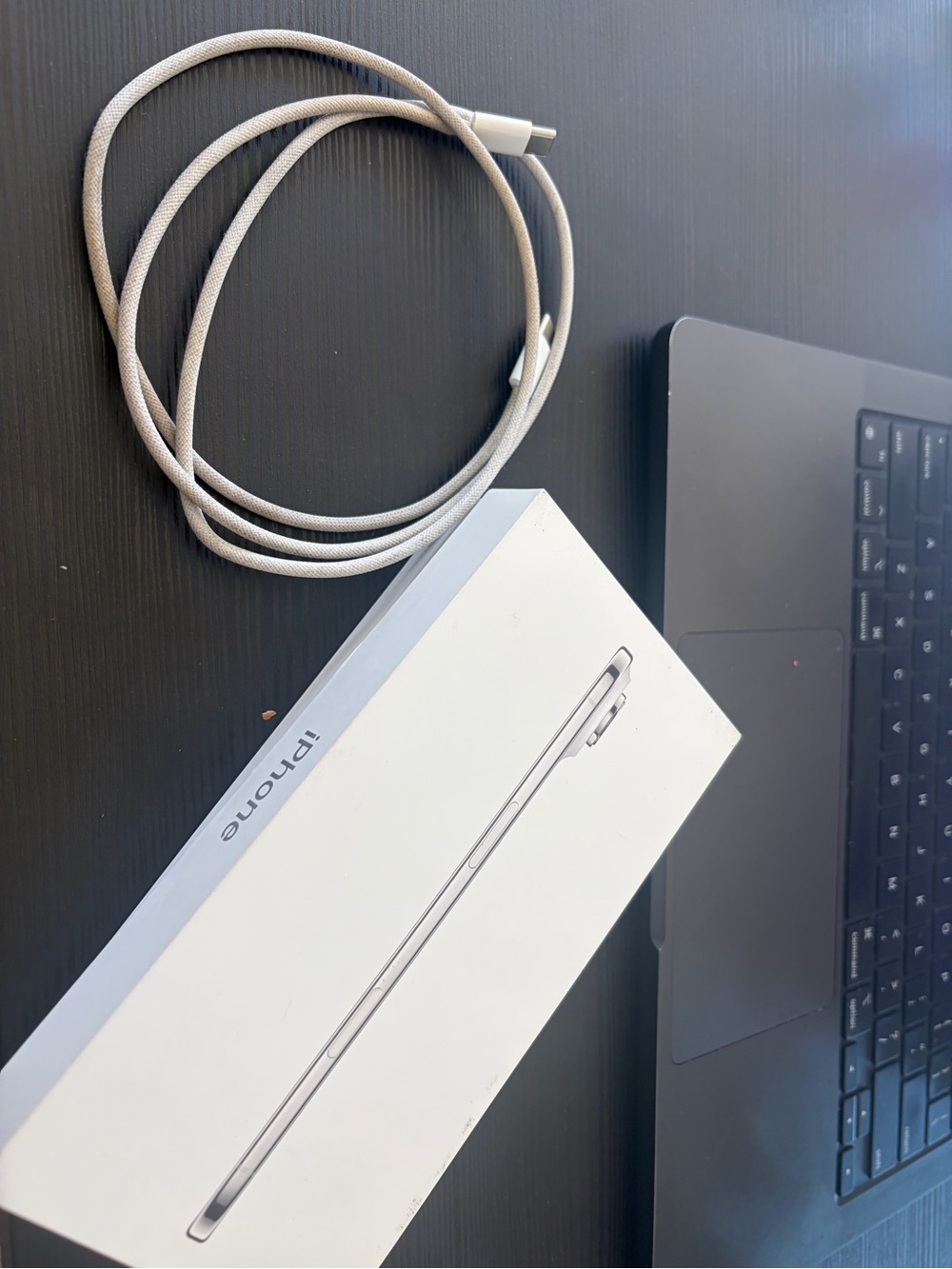Apple Braided USB-C Charging Cable in Silver